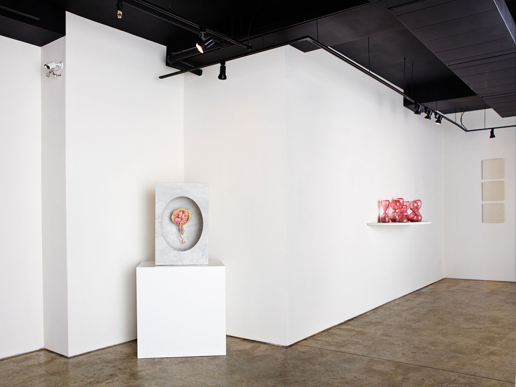 Female artist Zoe Buckman displays her plastinated placenta at Garis &amp; Hahn Gallery in New York City.