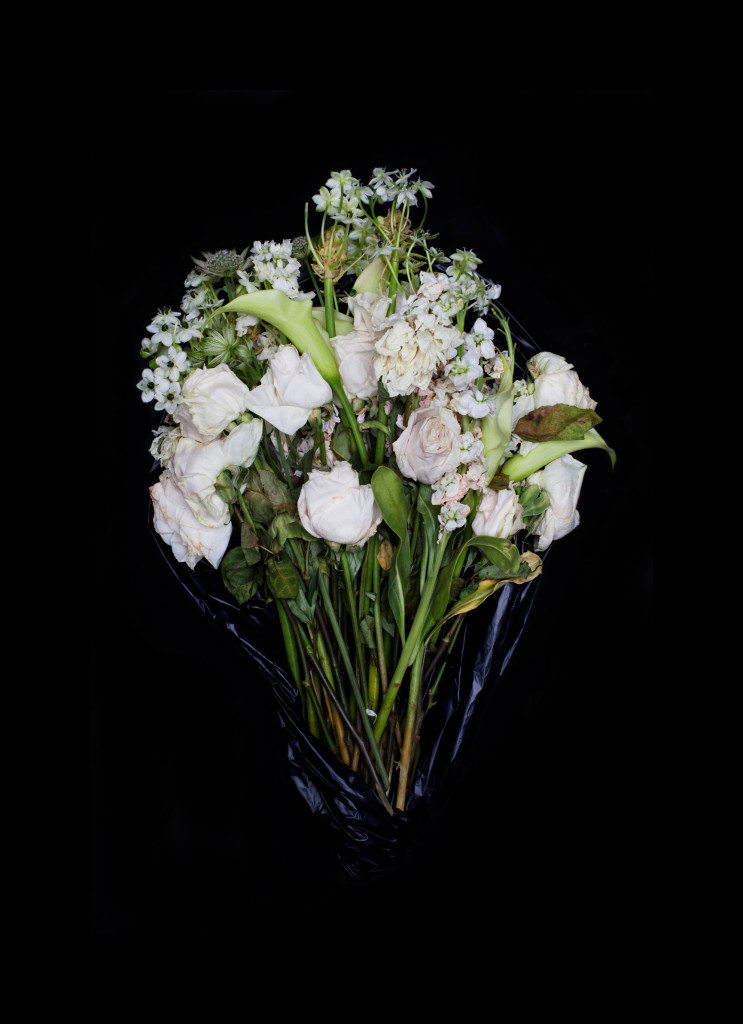 Fine Art Photography C Print: White roses and lilies dying flower bouquet against black background